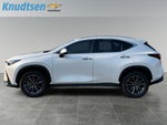2025 Lexus NX NX 350 Premium