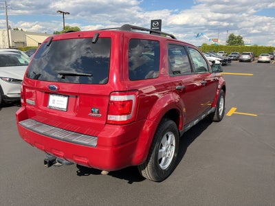 2009 Ford Escape XLT