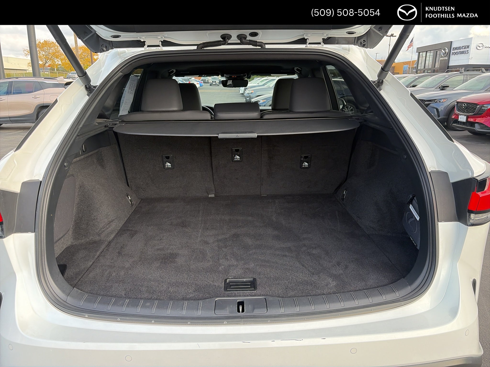 2024 Lexus RX 350 F Sport