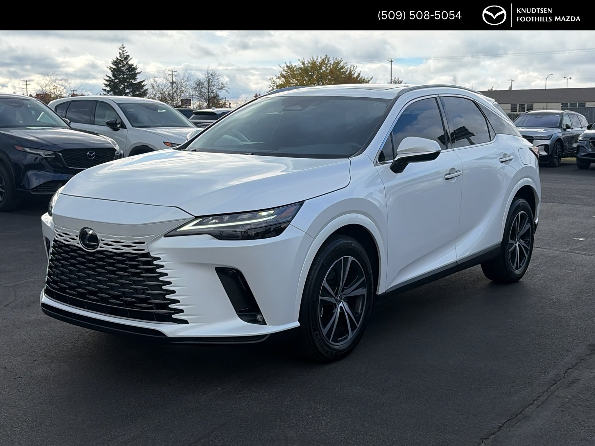 2024 Lexus RX 350 F Sport