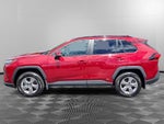 2025 Toyota RAV4 Hybrid Hybrid XLE